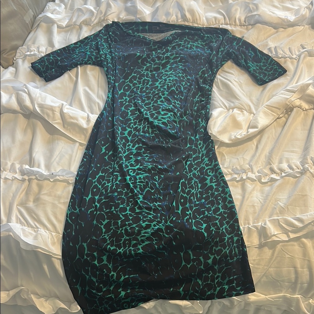 Elegant Green and Black Dress